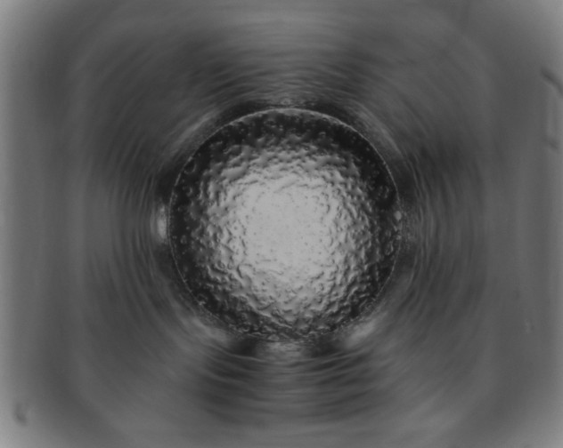 X0000091340095200708241233