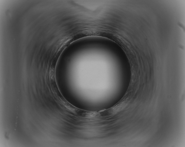 X0000091340096200708241233