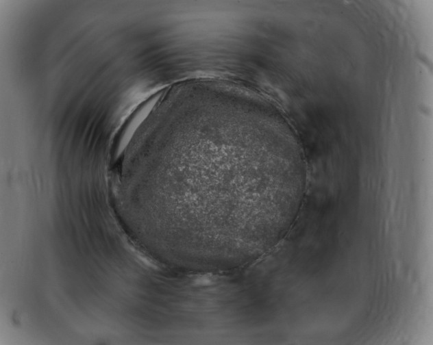 X0000091340098200708241232