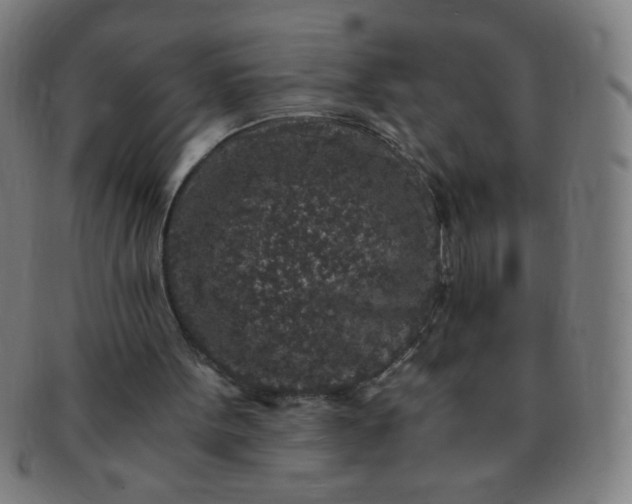 X0000091340099200708241232