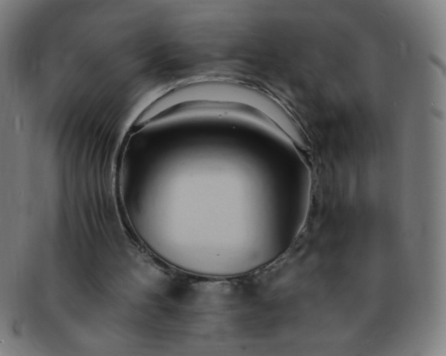 X0000091340100200708241232