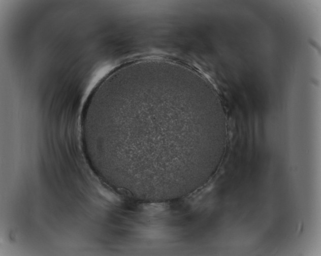 X0000091340102200708241232