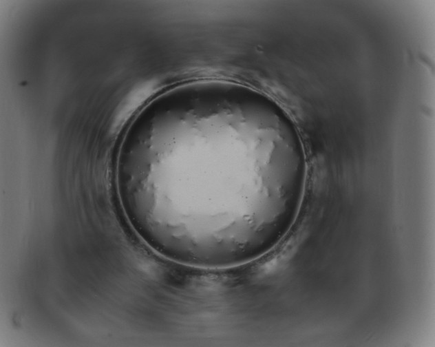 X0000091340103200708241232