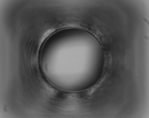 X0000091340104200708241232