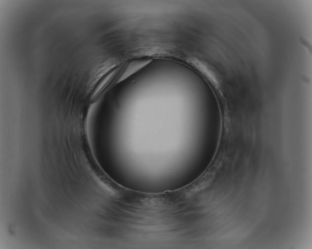 X0000091340105200708241232