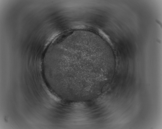 X0000091340106200708241232