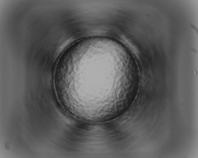 X0000091340107200708241232