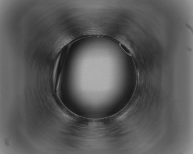 X0000091340109200708241232