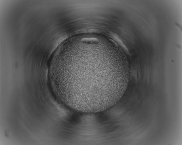 X0000091340110200708241232