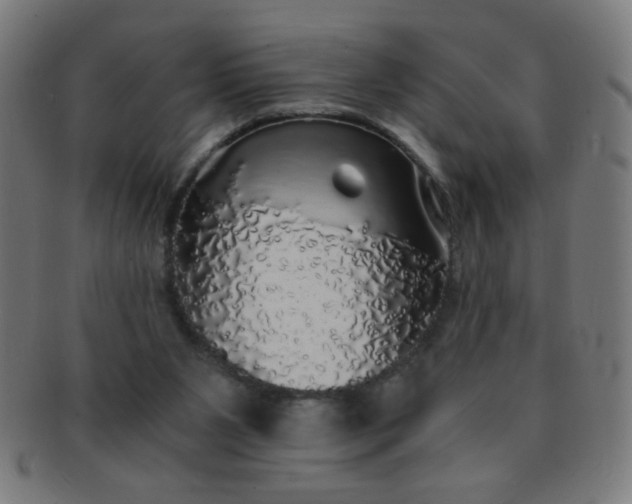 X0000091340111200708241232