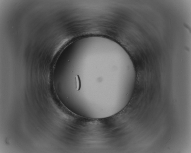 X0000091340112200708241232