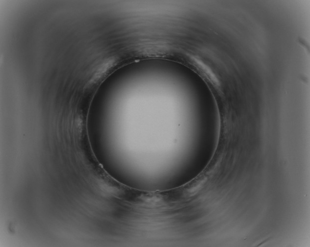 X0000091340113200708241232