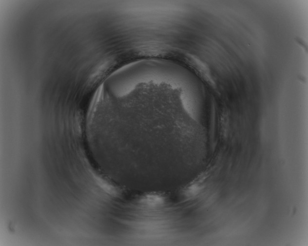 X0000091340114200708241232