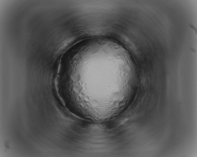 X0000091340115200708241232