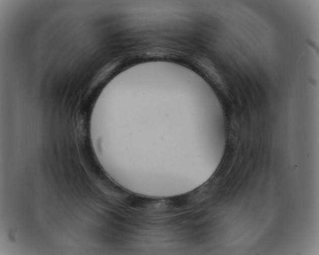 X0000091340116200708241232