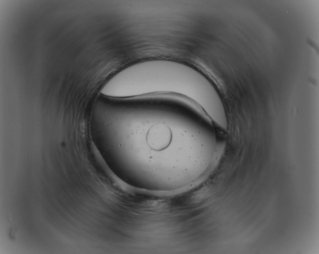 X0000091340117200708241232