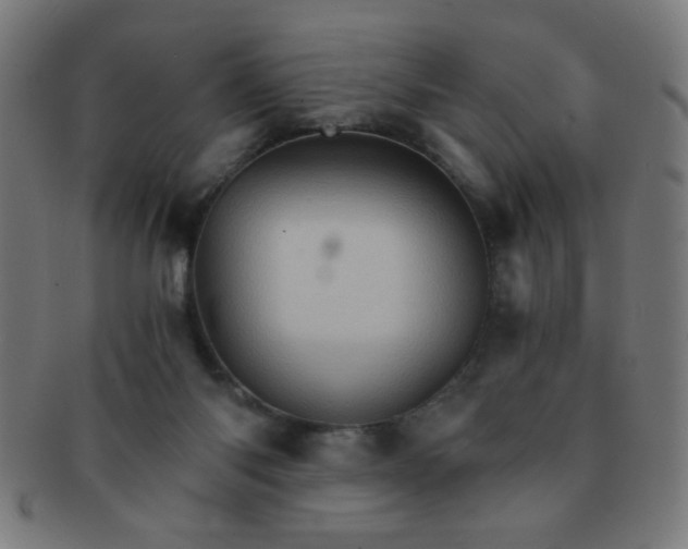 X0000091340118200708241232