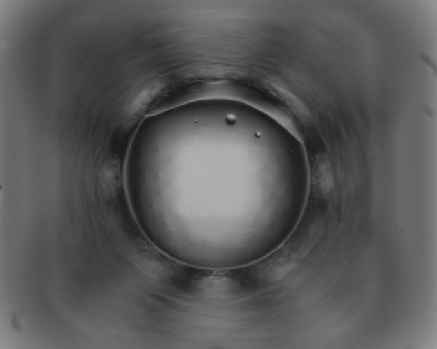 X0000091340119200708241232