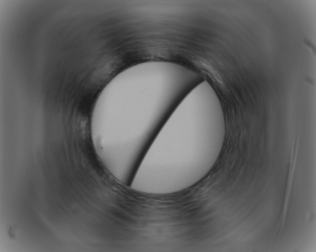 X0000091340123200708241232