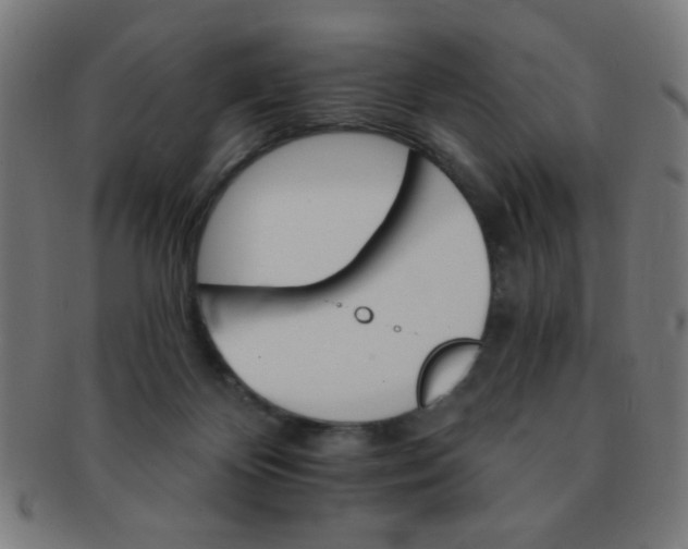 X0000091340124200708241232