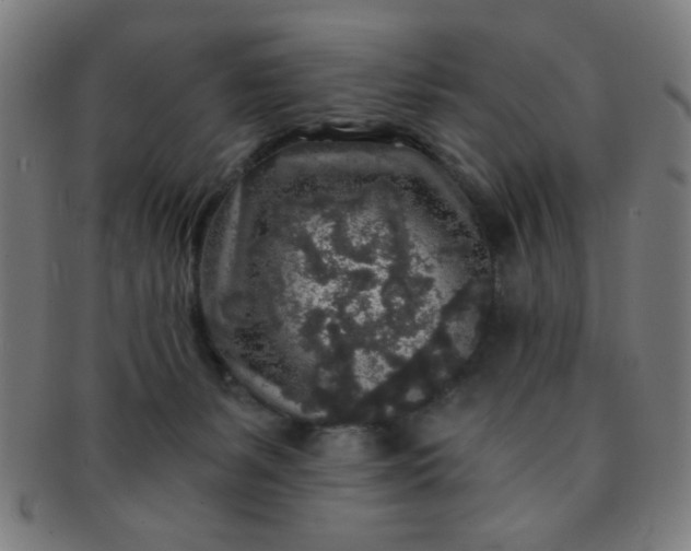 X0000091340127200708241232