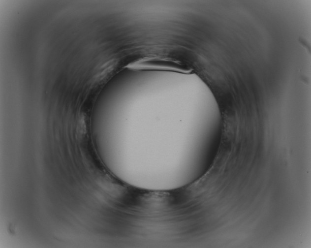 X0000091340128200708241232