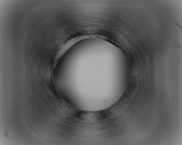 X0000091340129200708241232