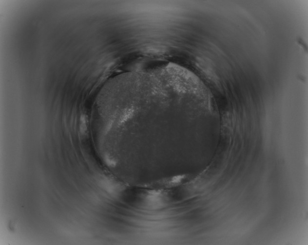 X0000091340130200708241232