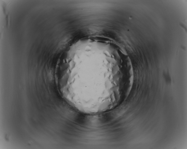 X0000091340131200708241232