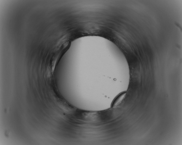 X0000091340132200708241232