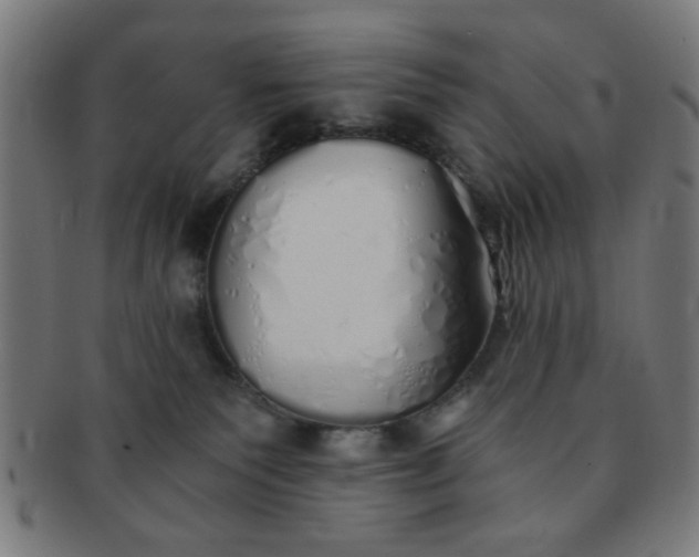 X0000091340135200708241232