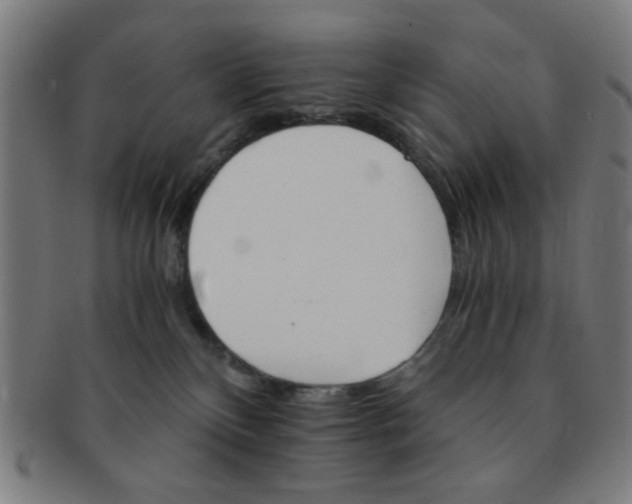 X0000091340136200708241232