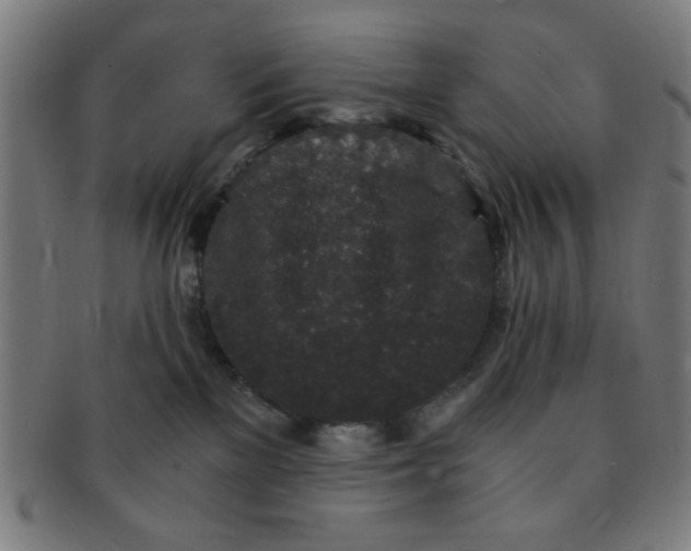 X0000091340137200708241232