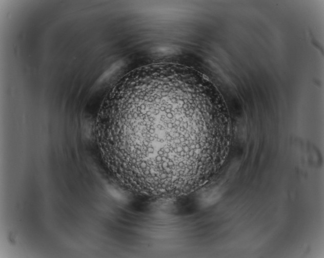 X0000091340138200708241232