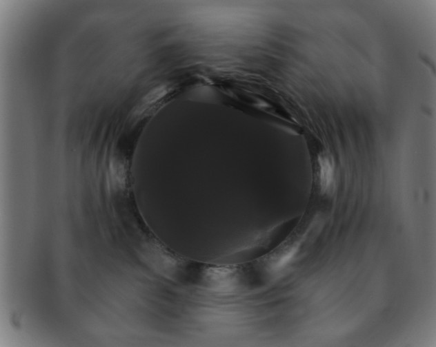 X0000091340139200708241232