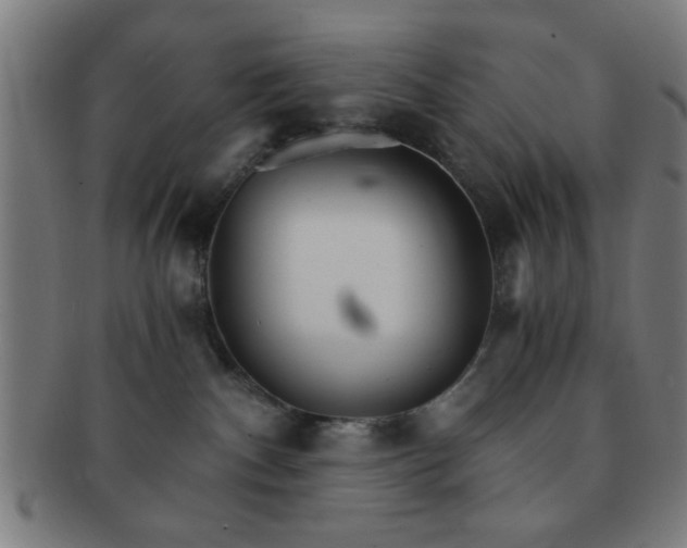 X0000091340140200708241232