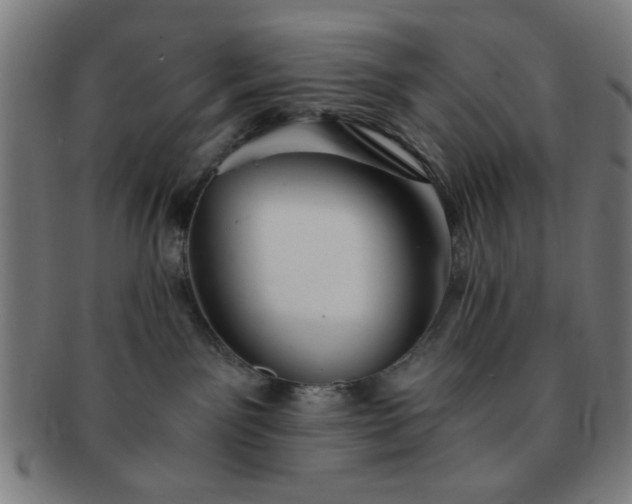 X0000091340141200708241232