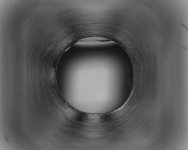 X0000091340144200708241232