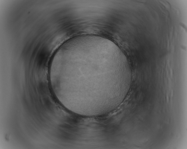 X0000091340146200708241231