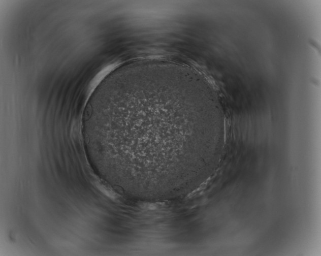 X0000091340147200708241231