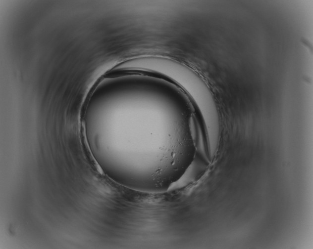 X0000091340148200708241231