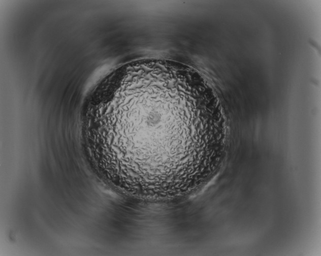 X0000091340149200708241231