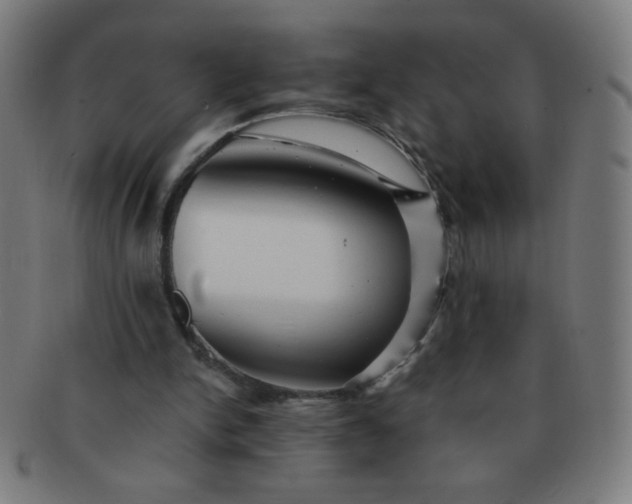 X0000091340150200708241231