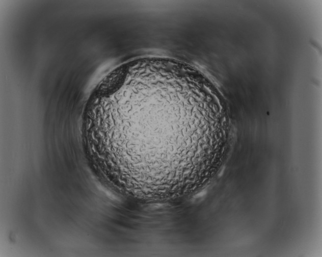 X0000091340151200708241231