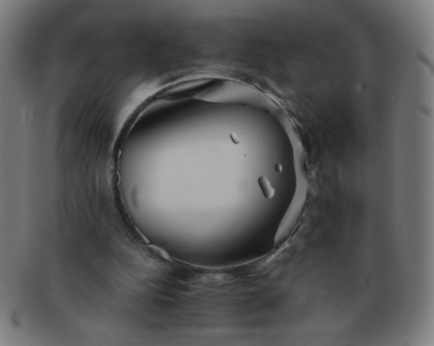 X0000091340152200708241231