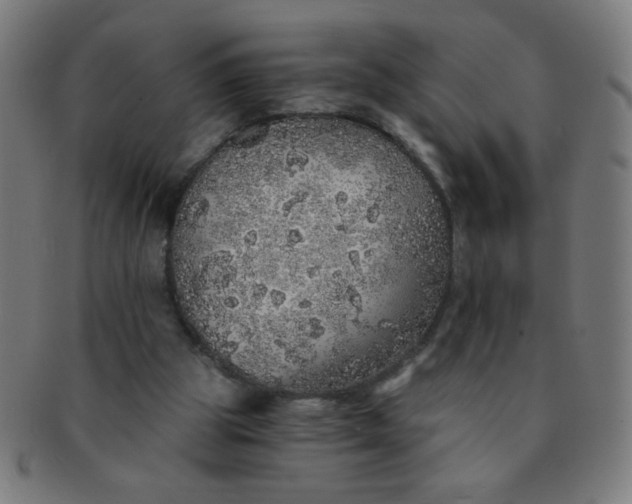 X0000091340153200708241231