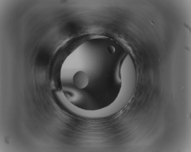 X0000091340154200708241231