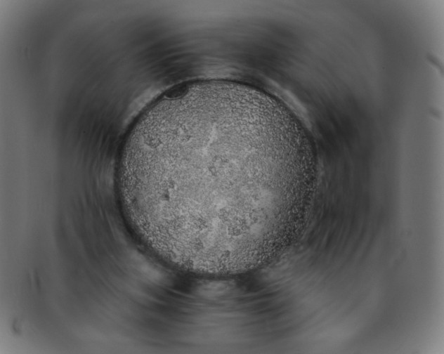 X0000091340155200708241231