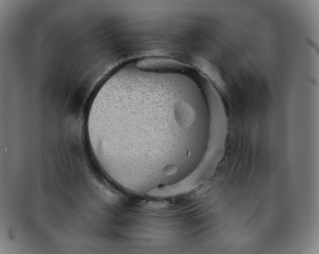 X0000091340156200708241231