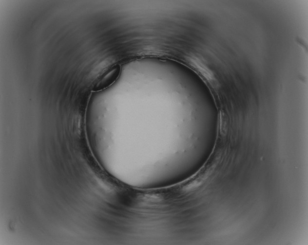 X0000091340157200708241231